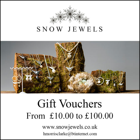 Gift Vouchers