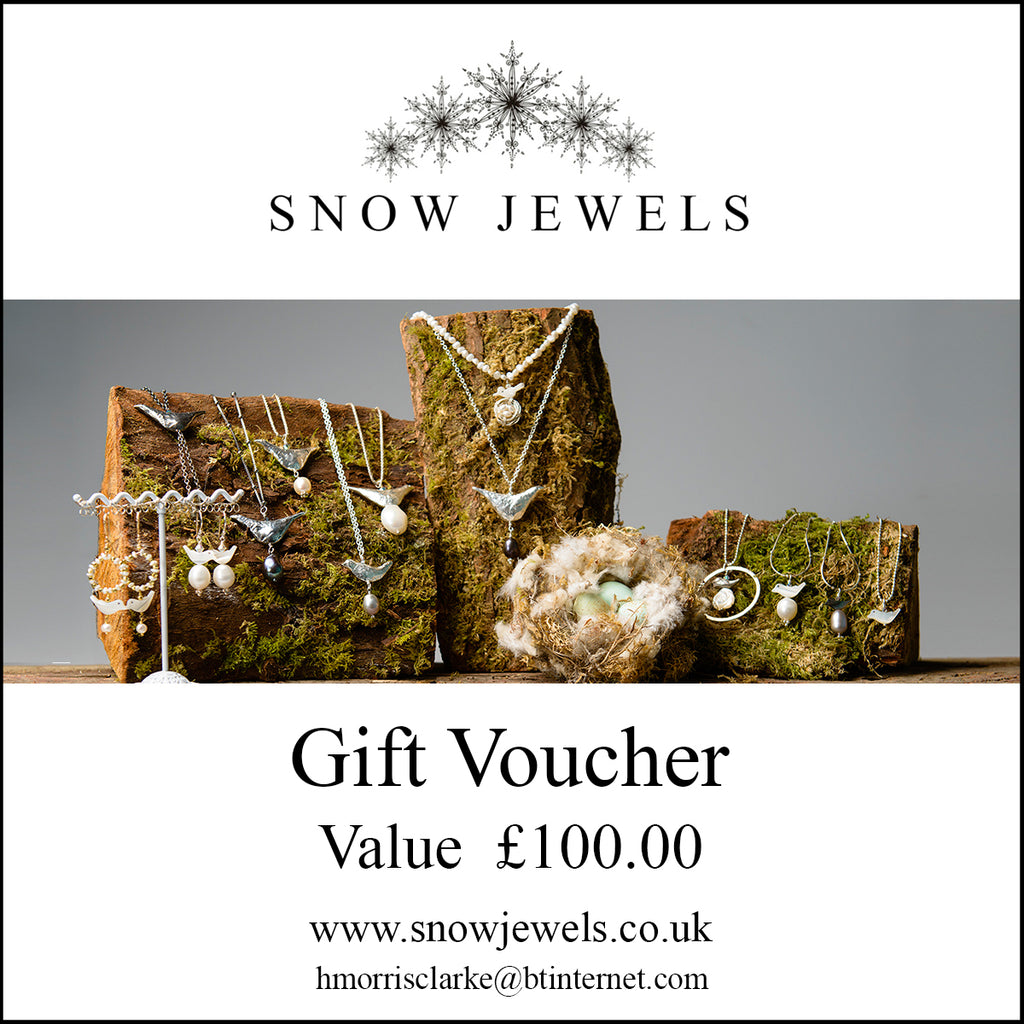 Snow Jewels Gift Voucher